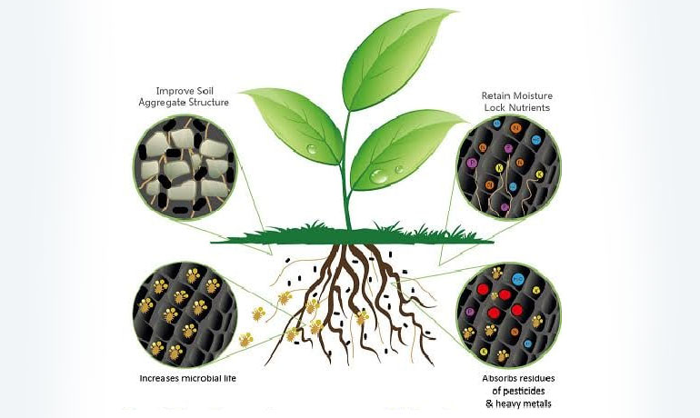 Bio-Fertilizer Bio-Fertilizer