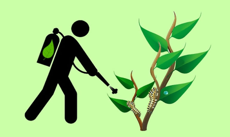 bio-pesticide bio-pesticide
