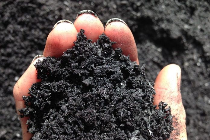 biochar biochar