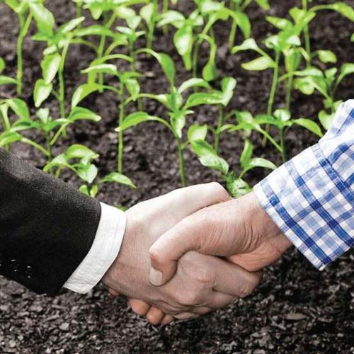 contract-farming contract-farming