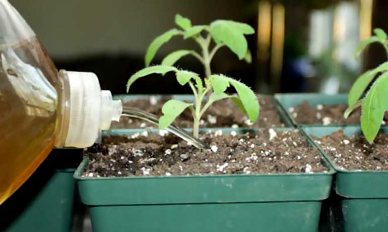 enrichl-liquid-fertilizer enrichl-liquid-fertilizer
