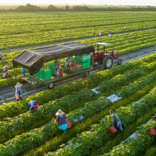 integrated-farming integrated-farming