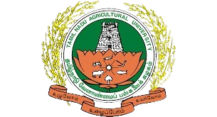 IMG-20250518-WA0216-removebg-preview