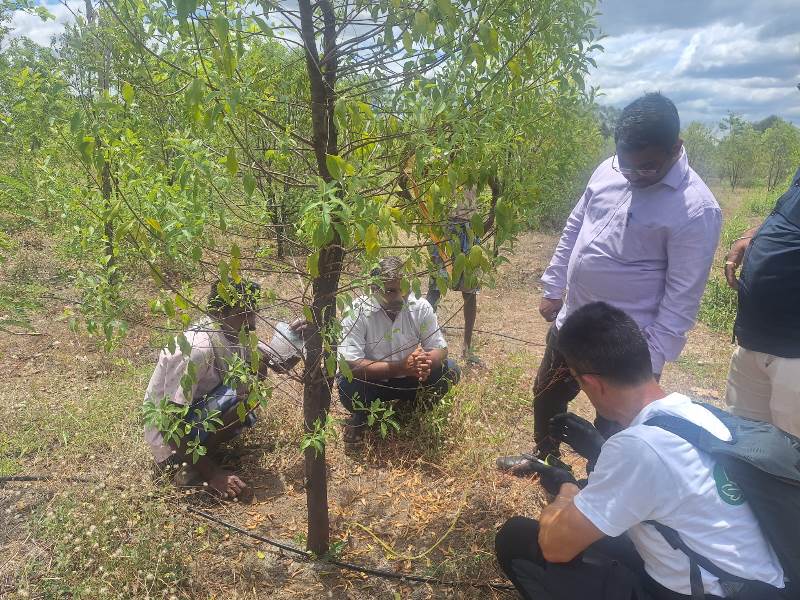 WhatsApp Image 2025-07-03 at 2.27.03 PM