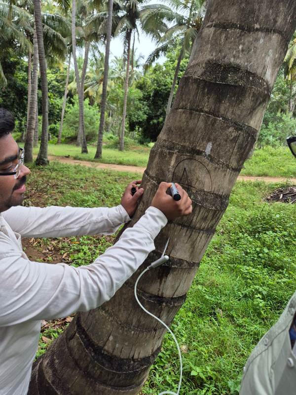 WhatsApp Image 2025-07-03 at 2.31.33 PM